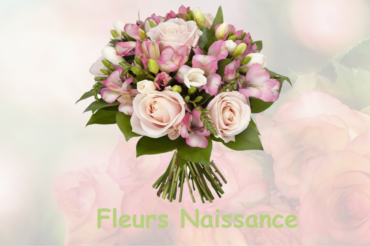fleurs naissance SUZE-LA-ROUSSE